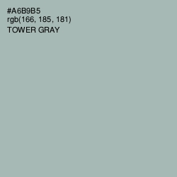#A6B9B5 - Tower Gray Color Image